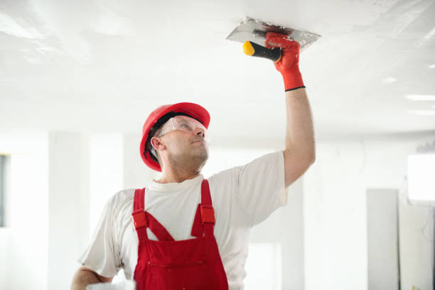 Best Mold Prevention Services  in Palm Bay, FL